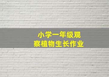 小学一年级观察植物生长作业