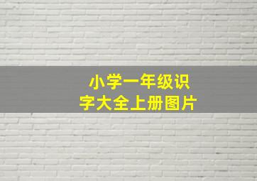 小学一年级识字大全上册图片