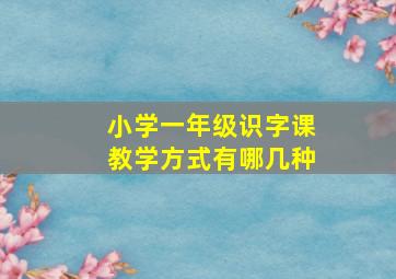 小学一年级识字课教学方式有哪几种