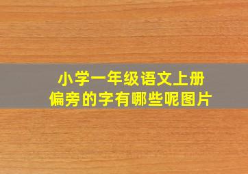 小学一年级语文上册偏旁的字有哪些呢图片