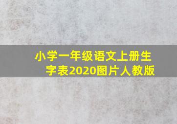 小学一年级语文上册生字表2020图片人教版