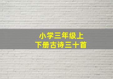 小学三年级上下册古诗三十首