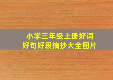 小学三年级上册好词好句好段摘抄大全图片