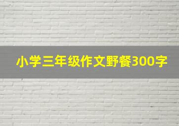 小学三年级作文野餐300字