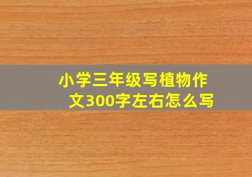 小学三年级写植物作文300字左右怎么写