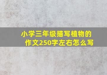 小学三年级描写植物的作文250字左右怎么写