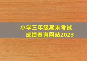 小学三年级期末考试成绩查询网站2023