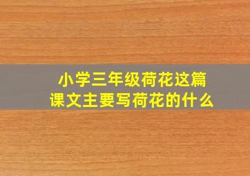 小学三年级荷花这篇课文主要写荷花的什么