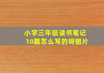 小学三年级读书笔记10篇怎么写的呀图片