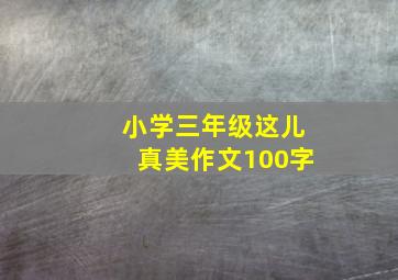 小学三年级这儿真美作文100字