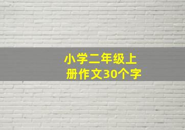 小学二年级上册作文30个字