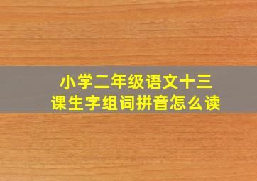 小学二年级语文十三课生字组词拼音怎么读