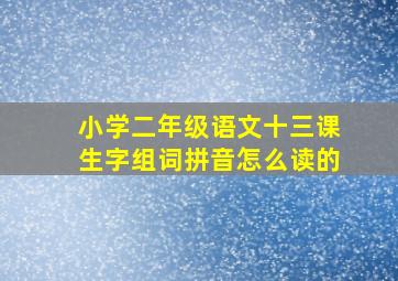 小学二年级语文十三课生字组词拼音怎么读的