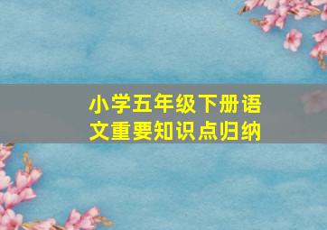 小学五年级下册语文重要知识点归纳