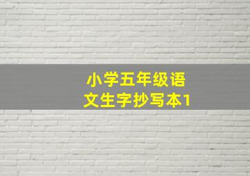 小学五年级语文生字抄写本1