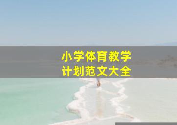 小学体育教学计划范文大全