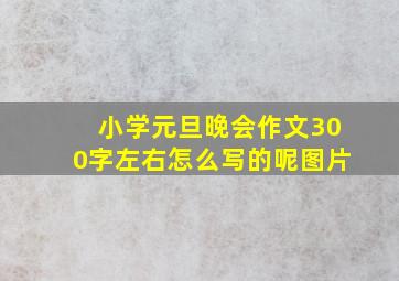 小学元旦晚会作文300字左右怎么写的呢图片