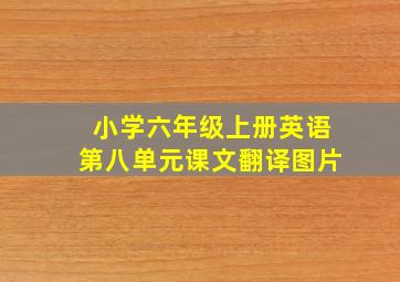 小学六年级上册英语第八单元课文翻译图片