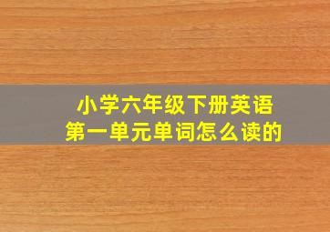 小学六年级下册英语第一单元单词怎么读的