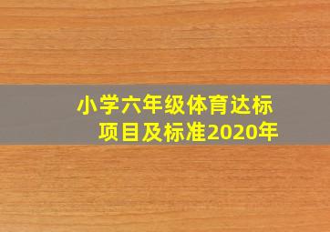 小学六年级体育达标项目及标准2020年