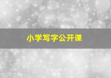 小学写字公开课