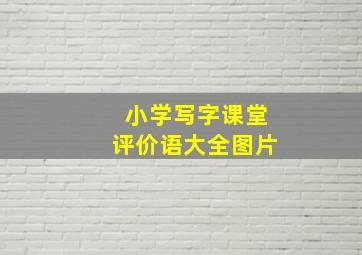 小学写字课堂评价语大全图片