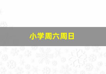 小学周六周日