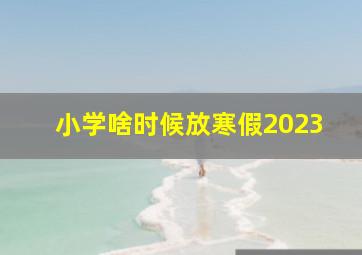 小学啥时候放寒假2023