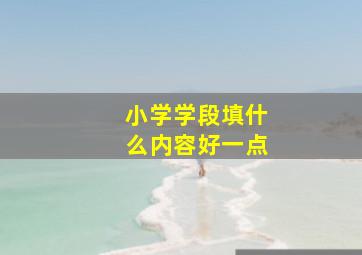 小学学段填什么内容好一点