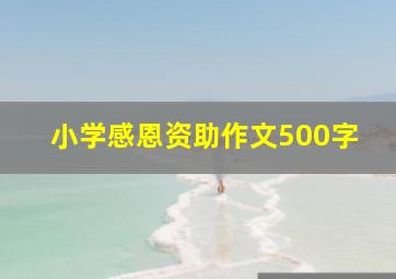 小学感恩资助作文500字