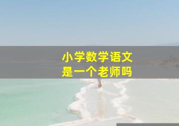 小学数学语文是一个老师吗