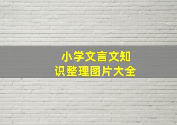 小学文言文知识整理图片大全