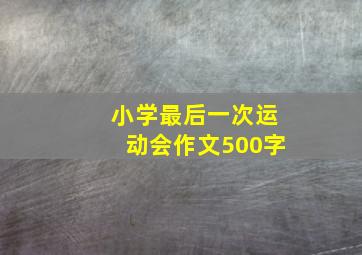 小学最后一次运动会作文500字