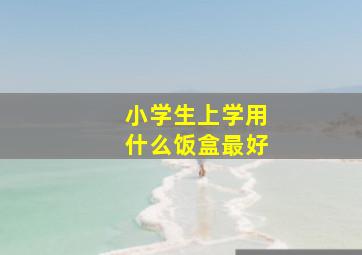 小学生上学用什么饭盒最好