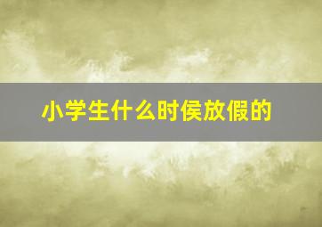 小学生什么时侯放假的