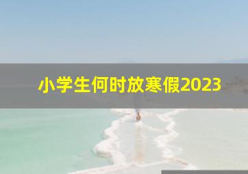 小学生何时放寒假2023