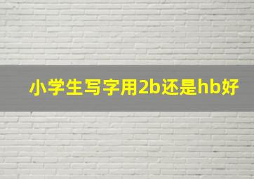 小学生写字用2b还是hb好