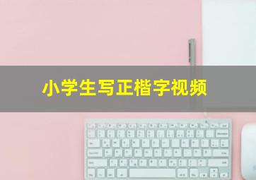 小学生写正楷字视频