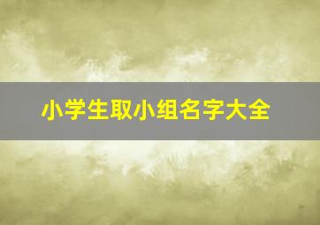 小学生取小组名字大全