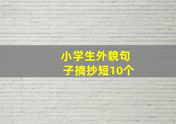 小学生外貌句子摘抄短10个