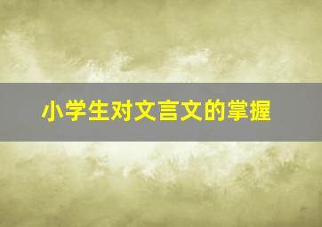 小学生对文言文的掌握