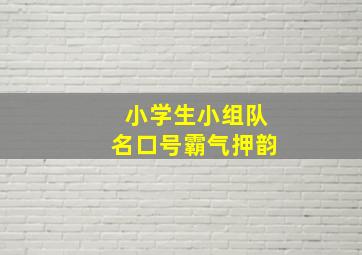 小学生小组队名口号霸气押韵