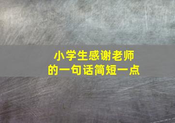 小学生感谢老师的一句话简短一点