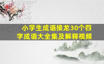 小学生成语接龙30个四字成语大全集及解释视频