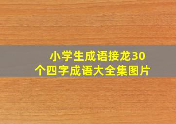 小学生成语接龙30个四字成语大全集图片