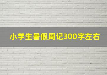 小学生暑假周记300字左右