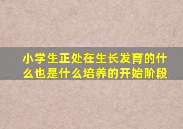 小学生正处在生长发育的什么也是什么培养的开始阶段