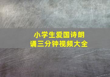 小学生爱国诗朗诵三分钟视频大全