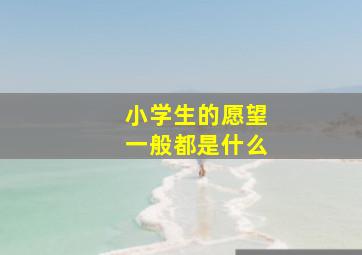 小学生的愿望一般都是什么