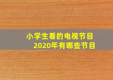 小学生看的电视节目2020年有哪些节目